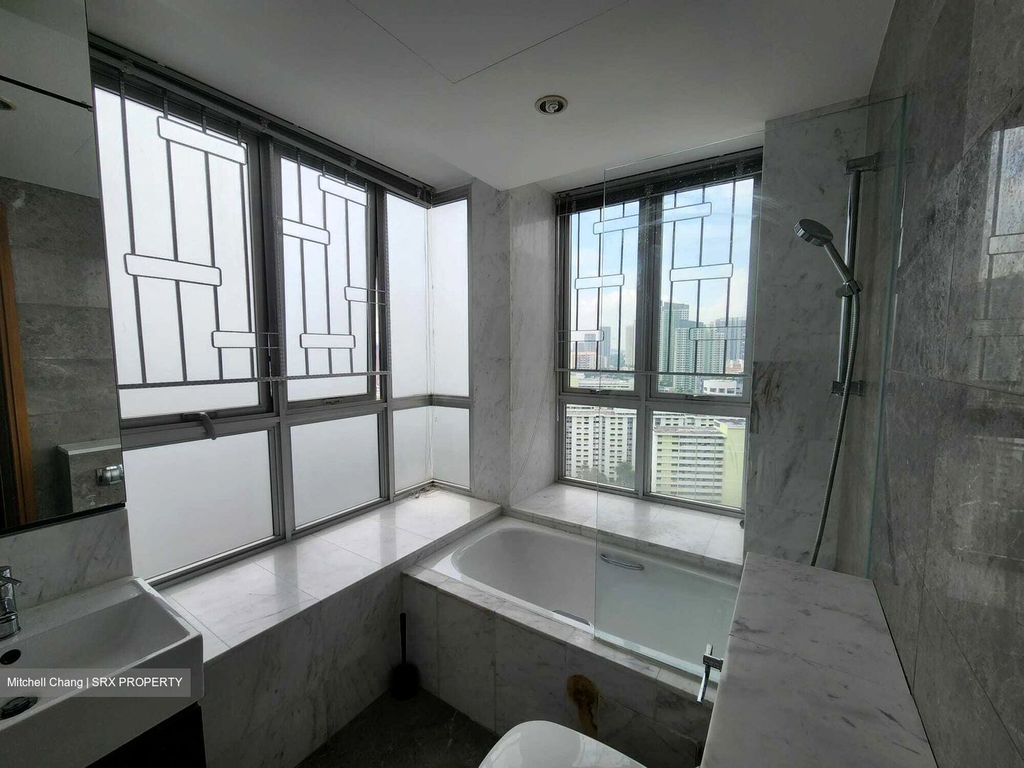 The Parc Condominium (D5), Condominium #373351861